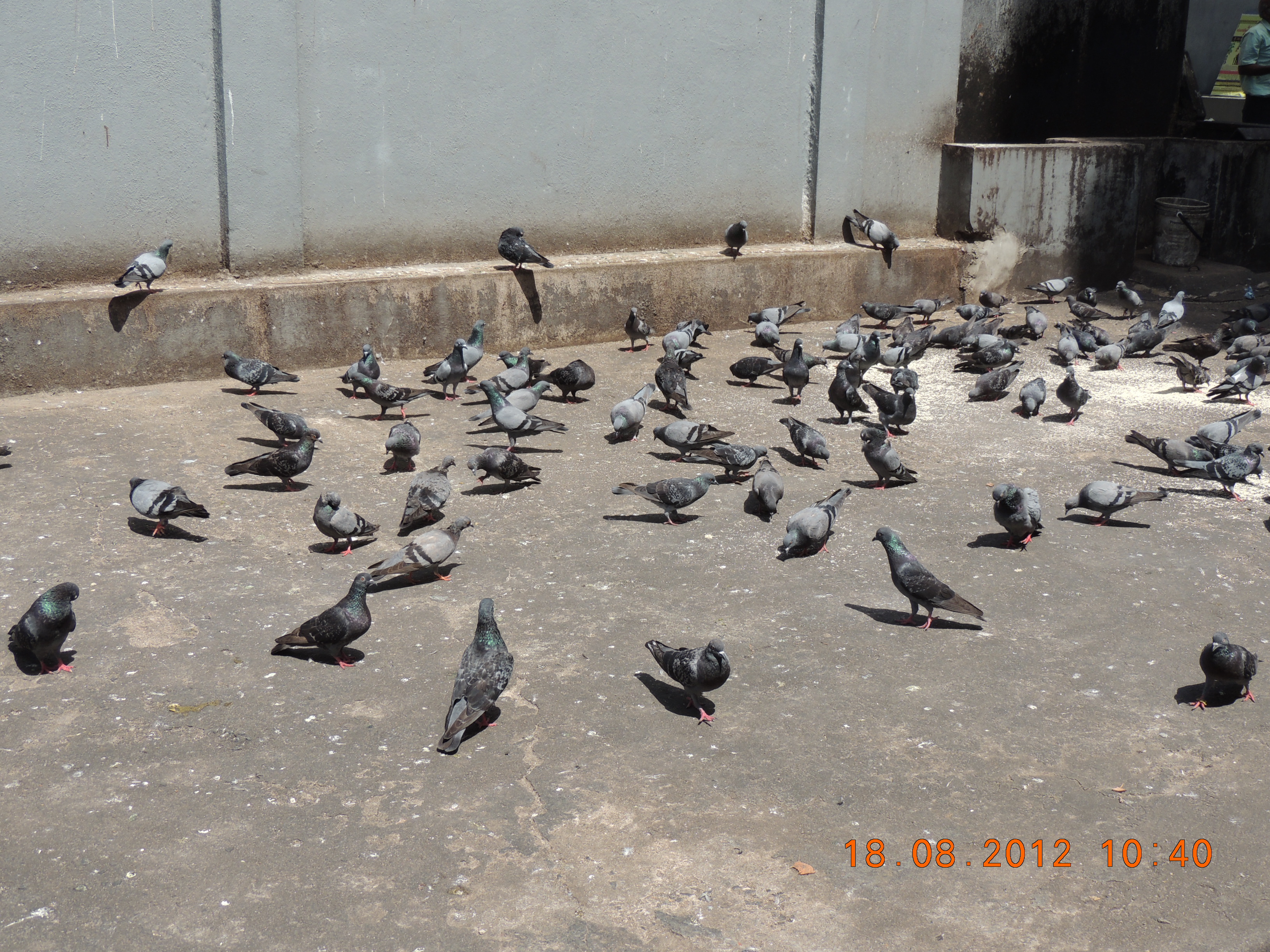 DSCN1638